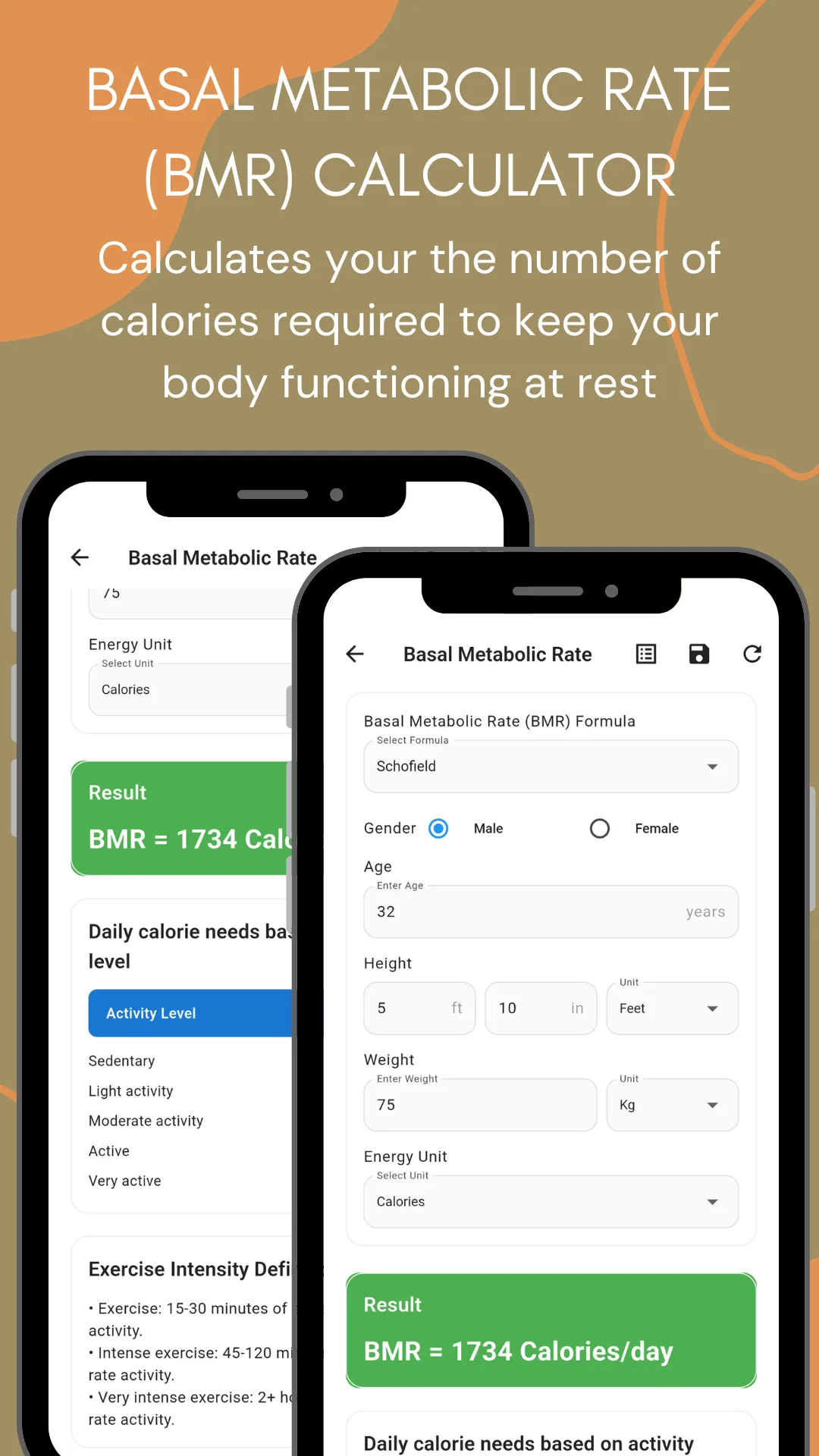 The Basal Metabolic Rate calculator with a formula selector set to Schofield, gender, age, height in feet and inches, weight in kilograms and an energy unit selector, returning BMR equals 1734 calories per day, followed by a daily calorie needs table by activity level from sedentary to very active and a set of exercise intensity definitions