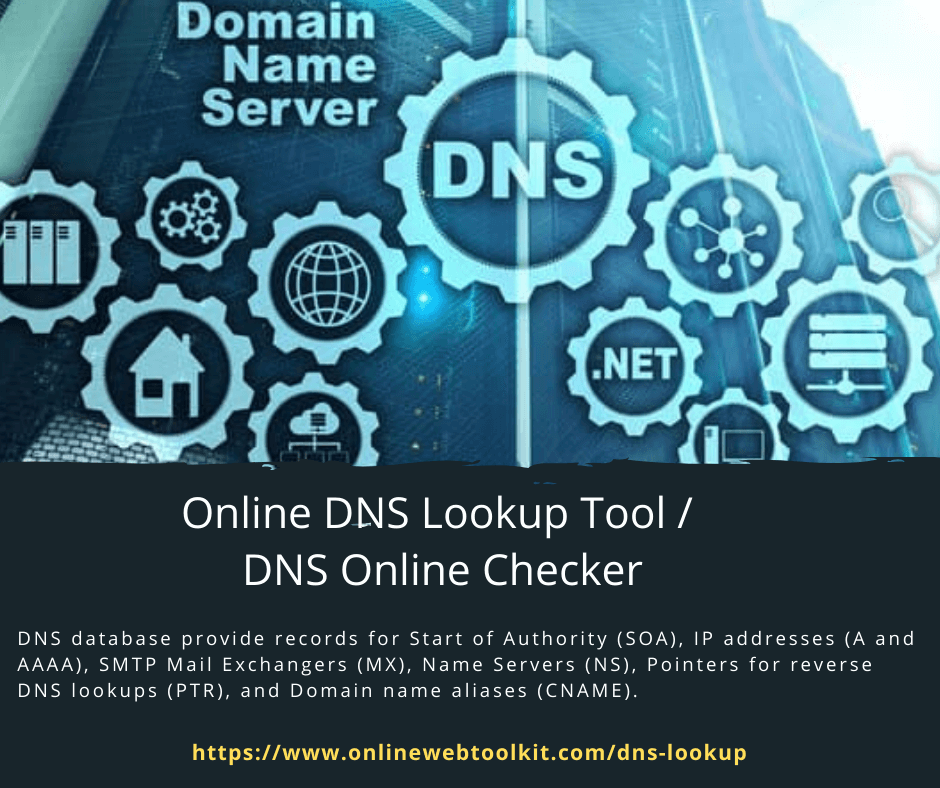 Online DNS Lookup Tool